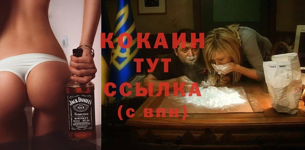 твердый Заводоуковск