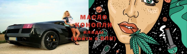 твердый Заводоуковск