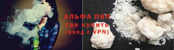 твердый Заводоуковск