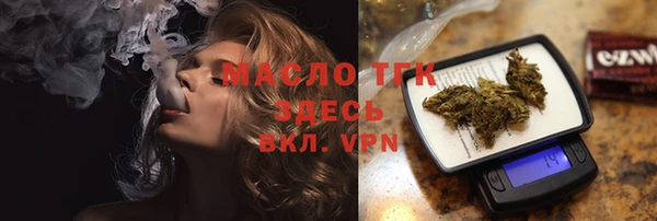 твердый Заводоуковск