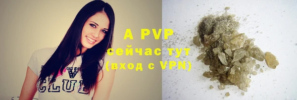 твердый Заводоуковск