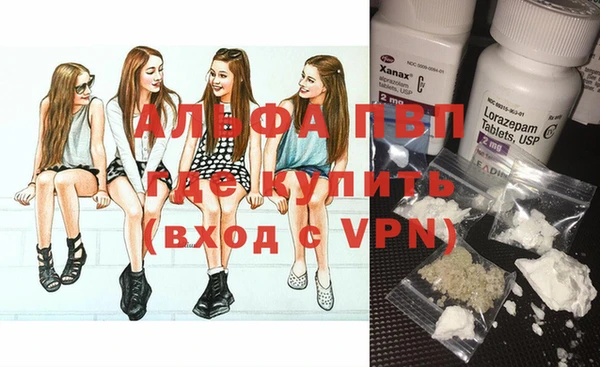 твердый Заводоуковск