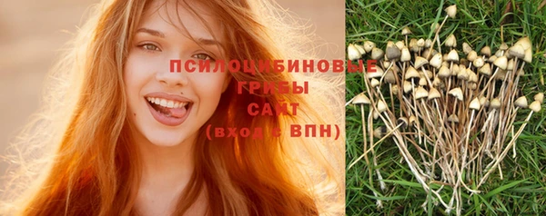прущие крисы Заволжск