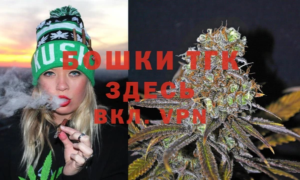твердый Заводоуковск